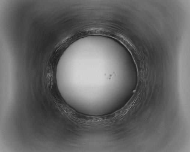 X0000116851111200912291234