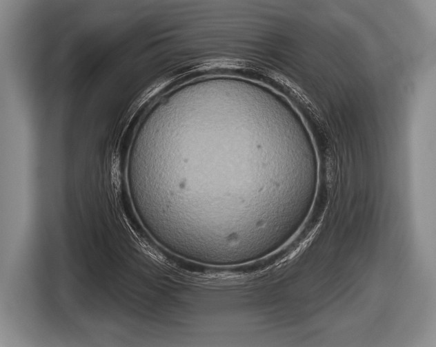 X0000116851113200912291234