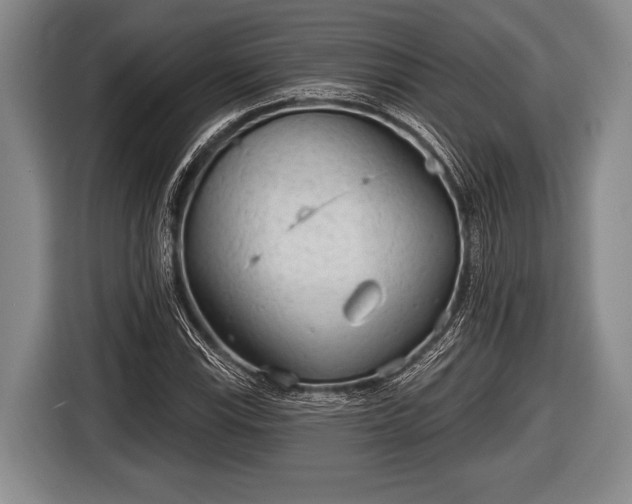 X0000116851115200912291234