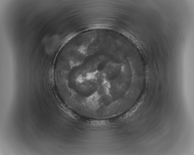 X0000116851121200912291235