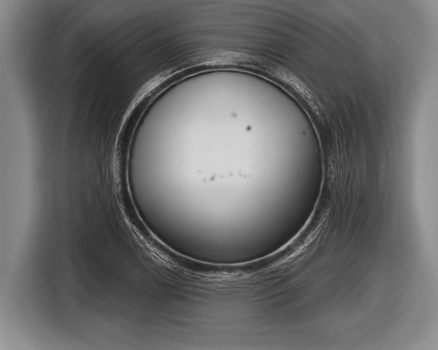 X0000116851122200912291235