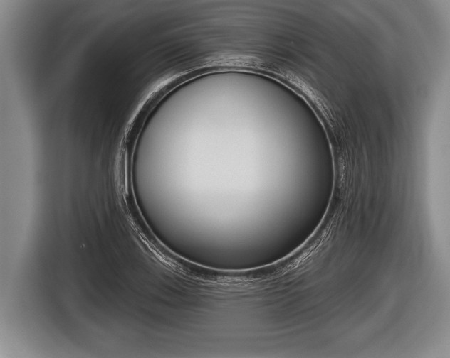 X0000116851123200912291235