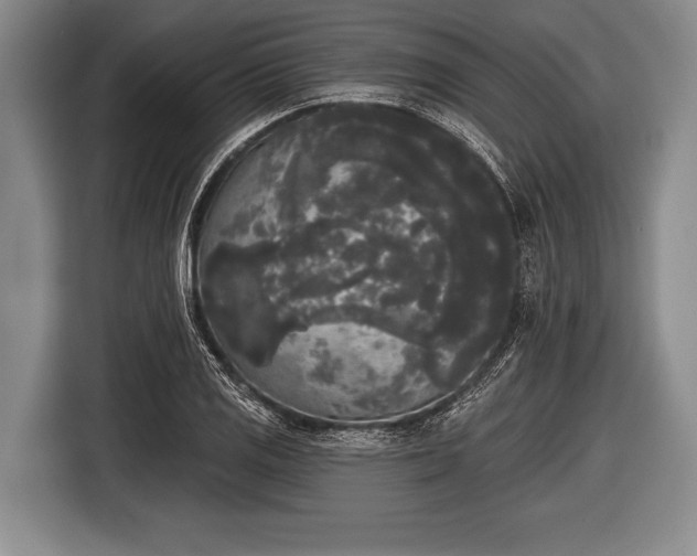 X0000116851125200912291235