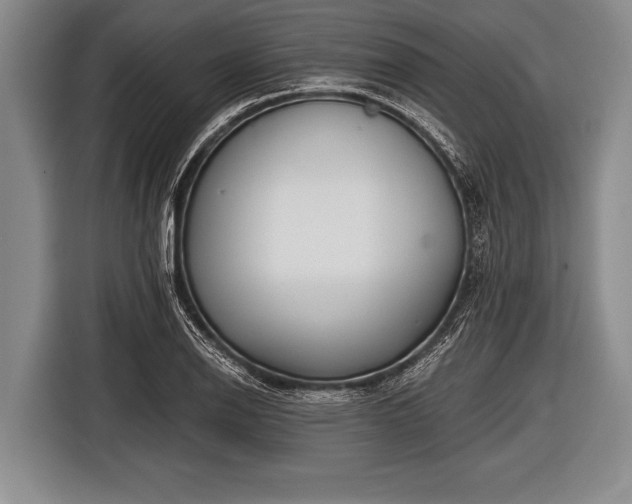 X0000116851126200912291235