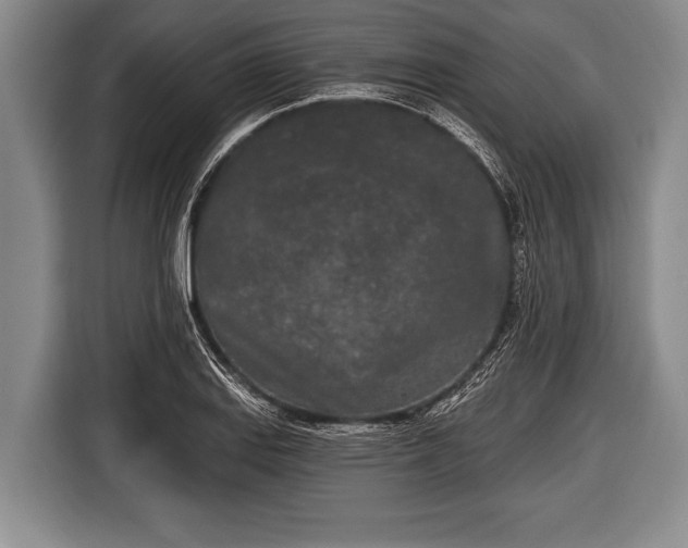 X0000116851127200912291235