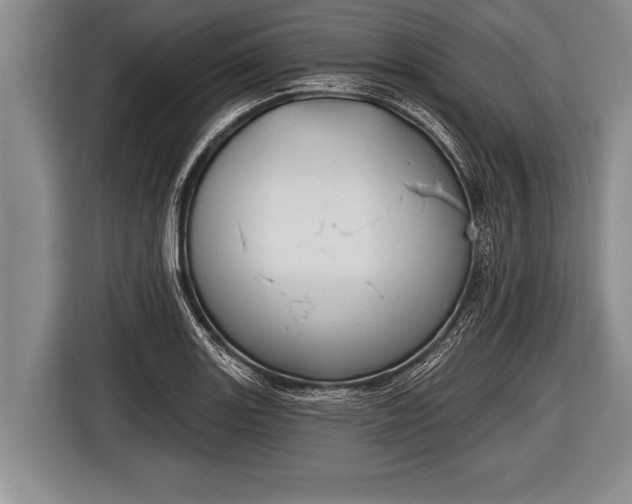 X0000116851131200912291235