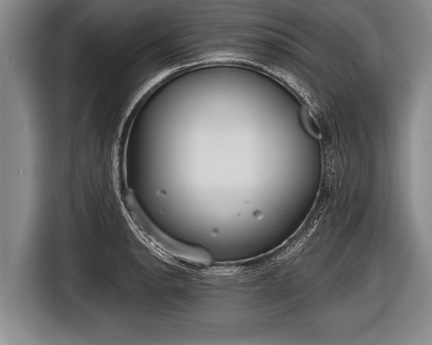 X0000116851134200912291235
