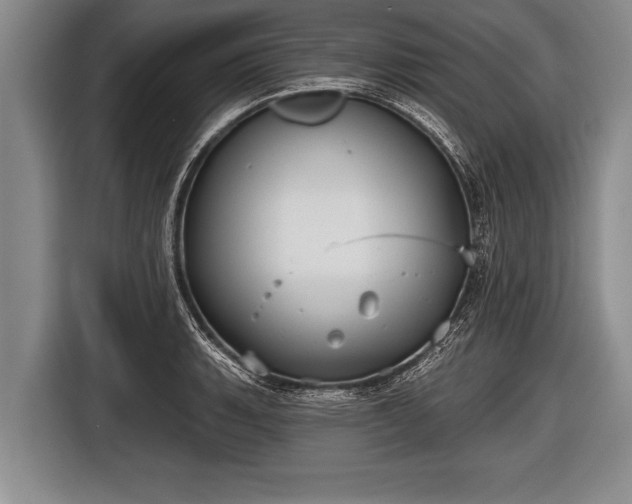 X0000116851135200912291235