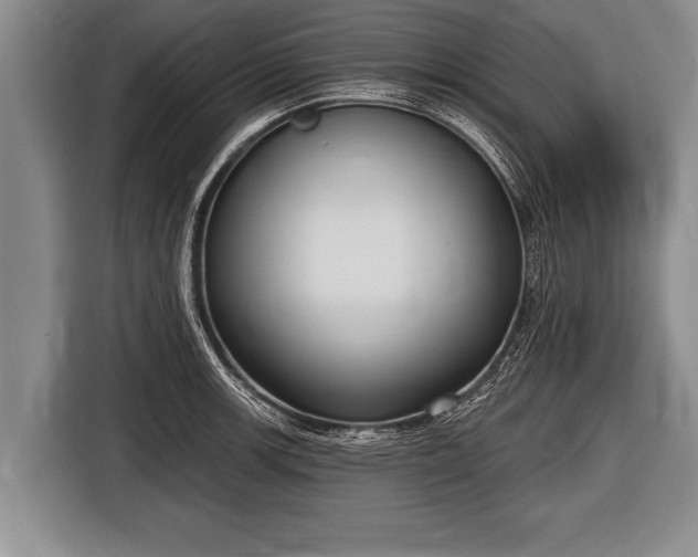 X0000116851139200912291235