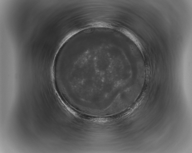 X0000116851141200912291235