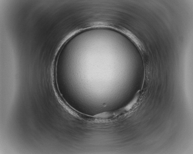 X0000116851142200912291235