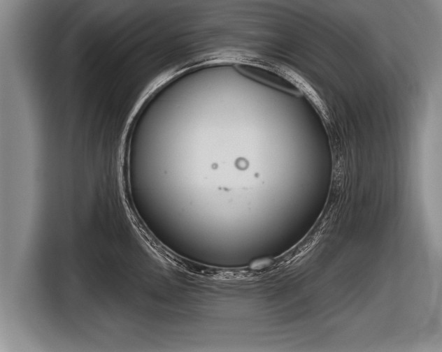 X0000116851146200912291235