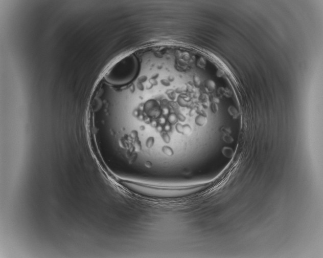 X0000116851149200912291235