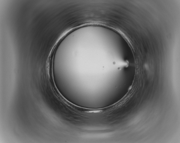 X0000116851151200912291235