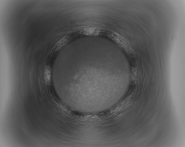 X0000116851154200912291234