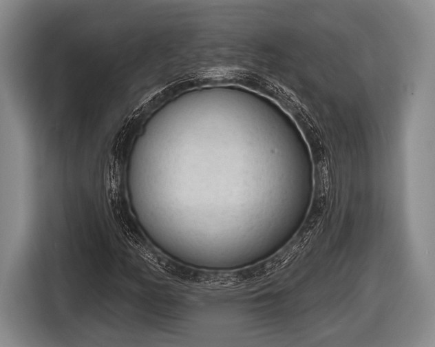X0000116851158200912291234