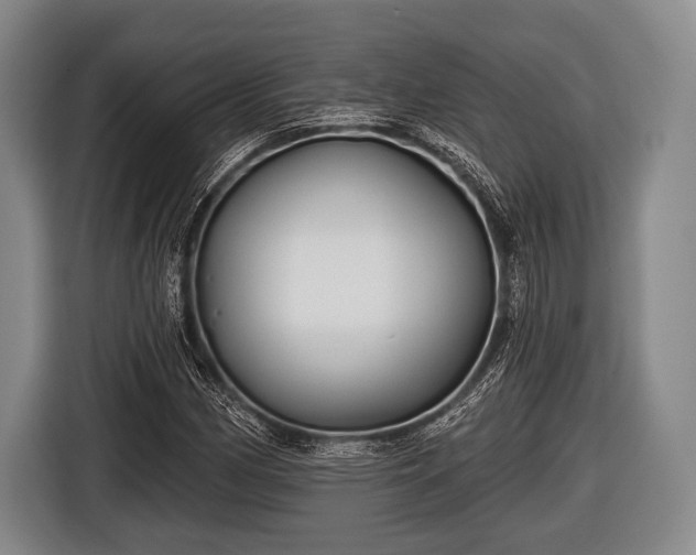 X0000116851162200912291234