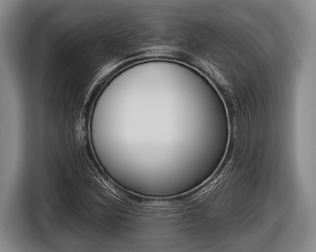 X0000116851164200912291234