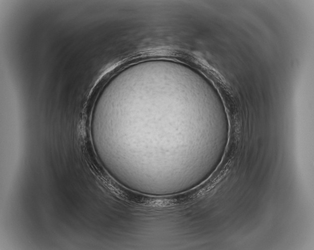 X0000116851166200912291234