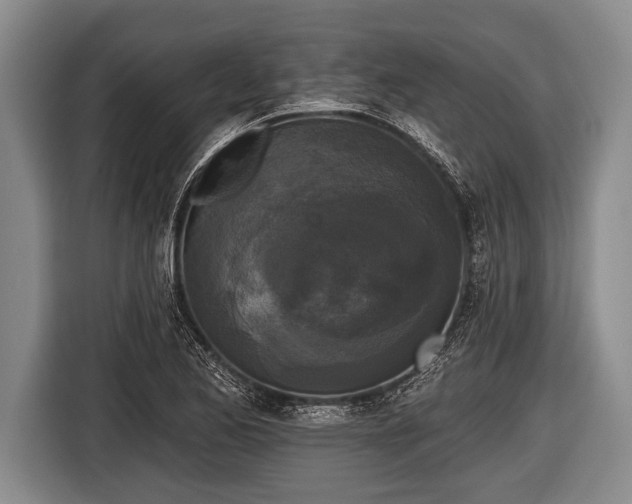 X0000116851173200912291234