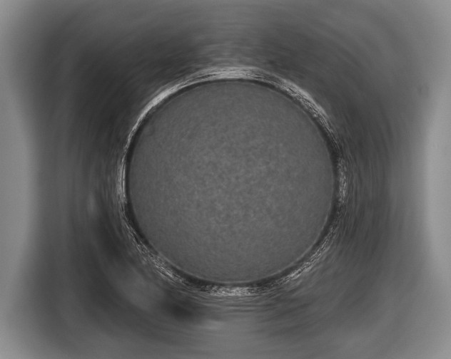 X0000116851174200912291234