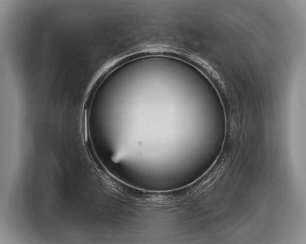 X0000116851175200912291234