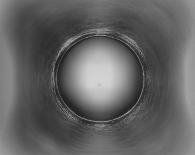 X0000116851176200912291234
