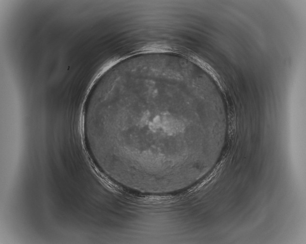 X0000116851179200912291234