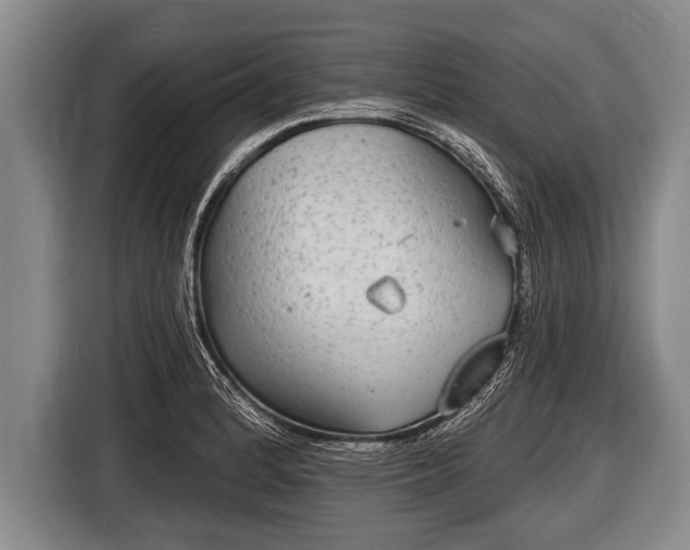 X0000116851184200912291234