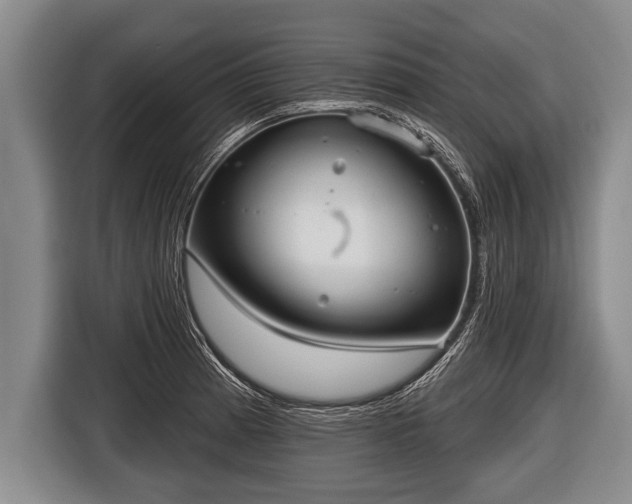 X0000116851185200912291234