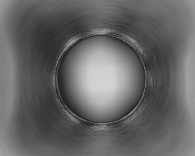 X0000116851186200912291234