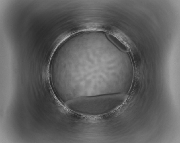 X0000116851189200912291234