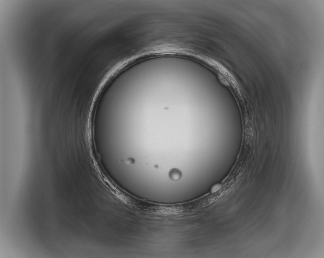 X0000116851191200912291234