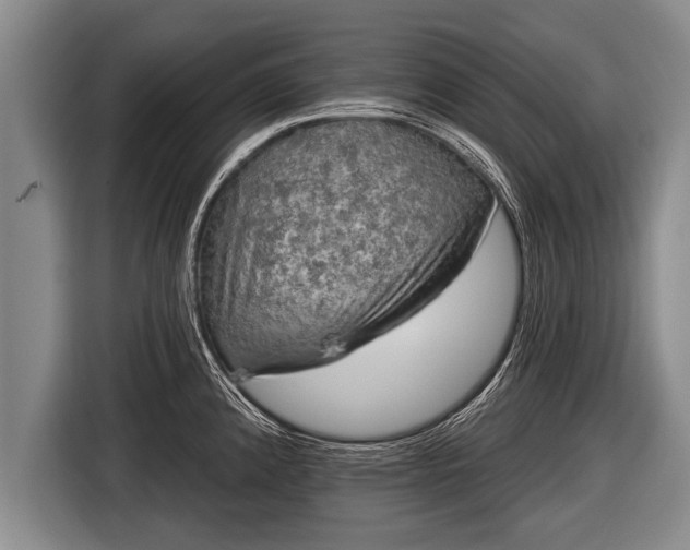 X0000116851192200912291234