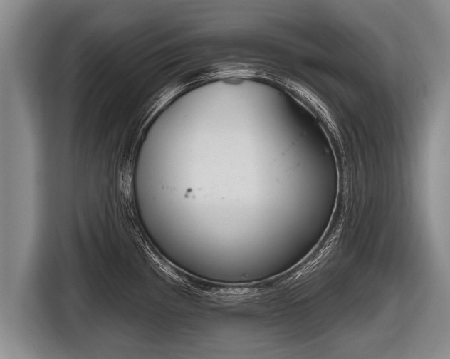 X0000116851193200912291234