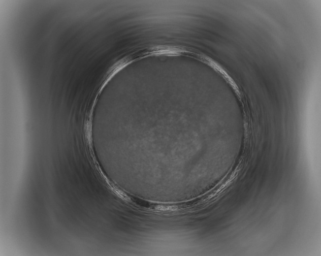 X0000116851194200912291234
