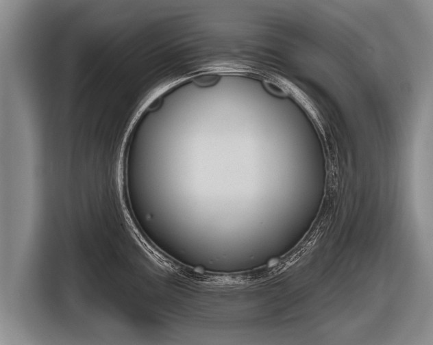 X0000116851195200912291234