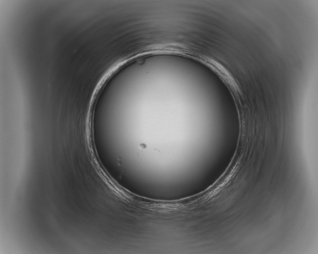 X0000116851196200912291234