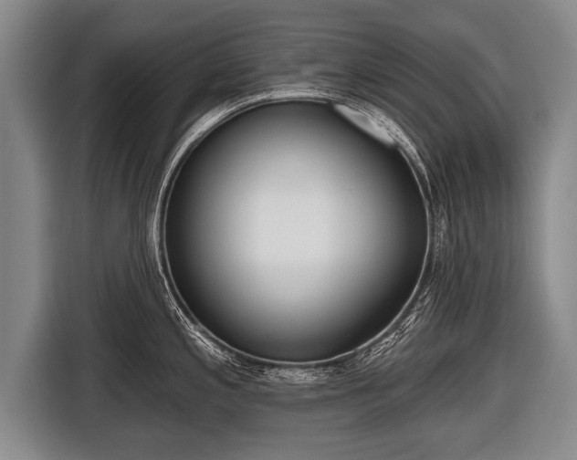 X0000116851197200912291234