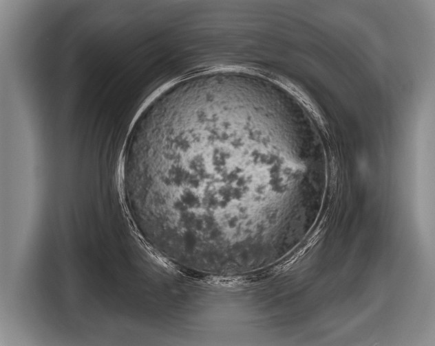 X0000116851198200912291234