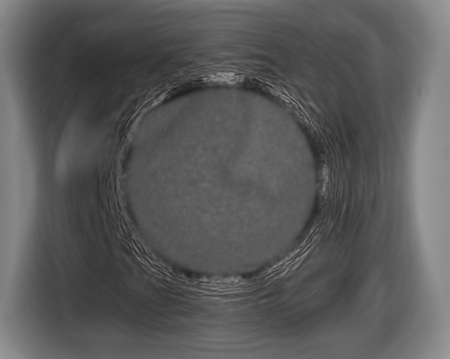 X0000116851201200912291233