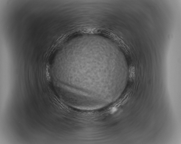 X0000116851202200912291233