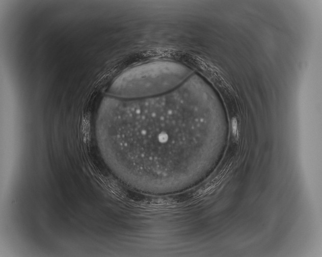 X0000116851203200912291233