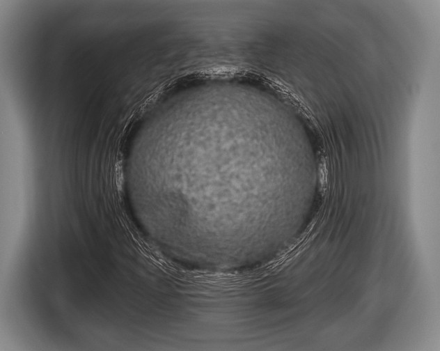 X0000116851204200912291233