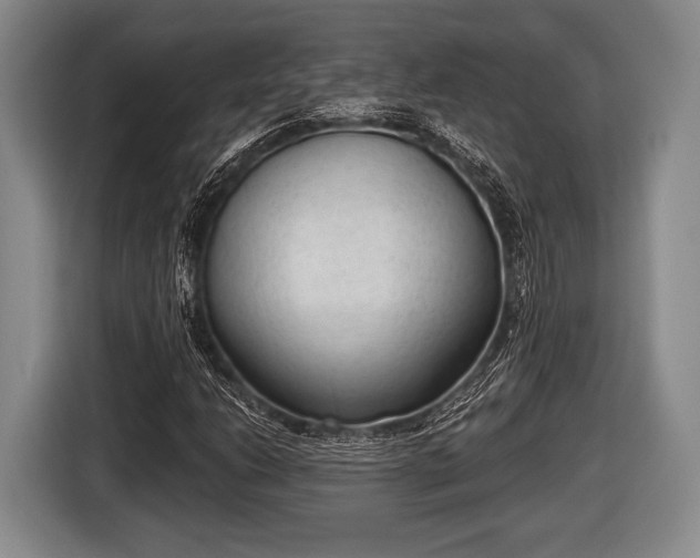 X0000116851206200912291233