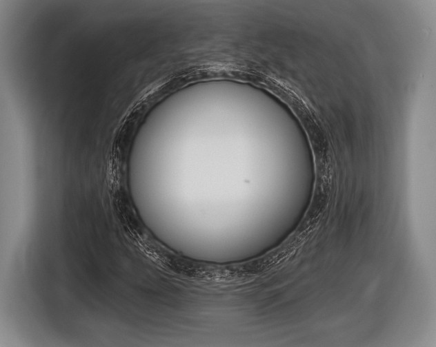 X0000116851207200912291233