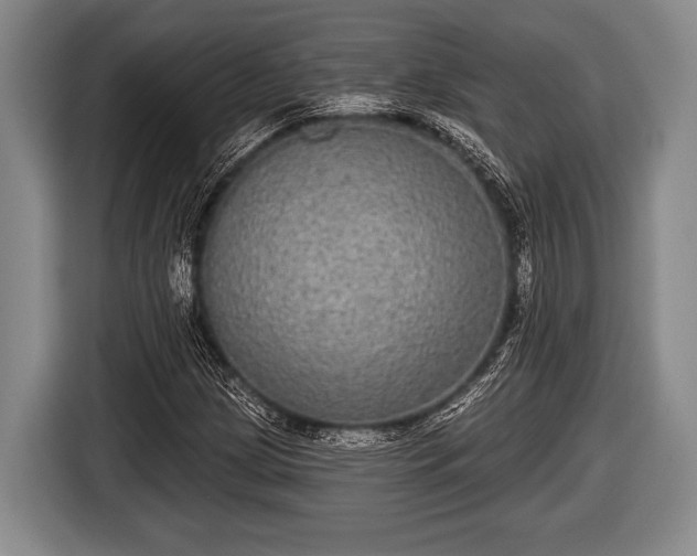 X0000116851209200912291233