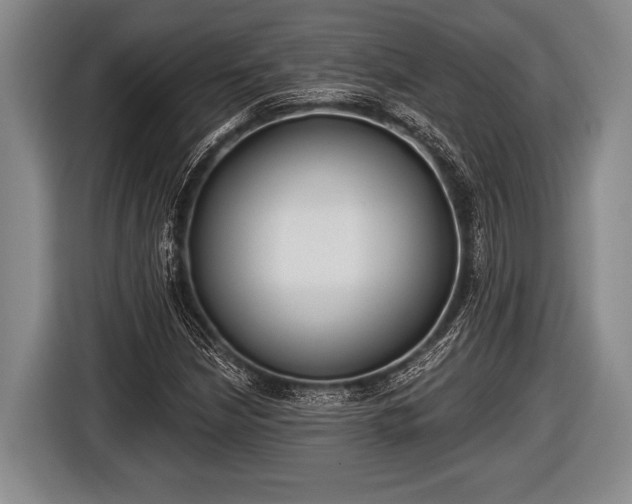 X0000116851210200912291233