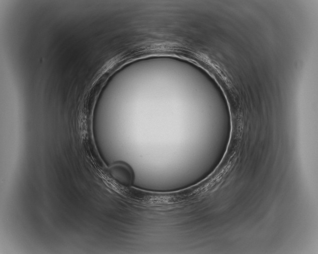 X0000116851211200912291233