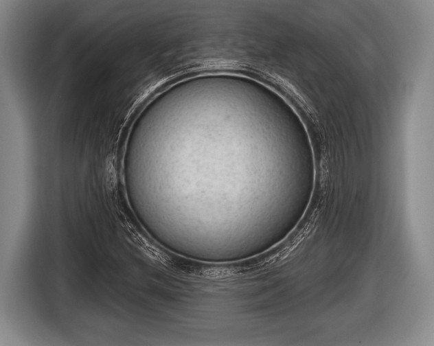 X0000116851212200912291233